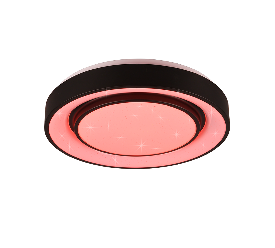 MONA | Ceiling lamp | Black mat | Metal