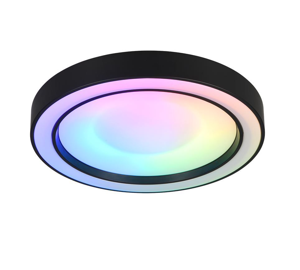ARCO | Ceiling lamp | Black mat | Plastic