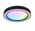 ARCO | Ceiling lamp | Black mat | Plastic