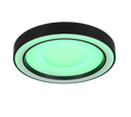 ARCO | Ceiling lamp | Black mat | Plastic