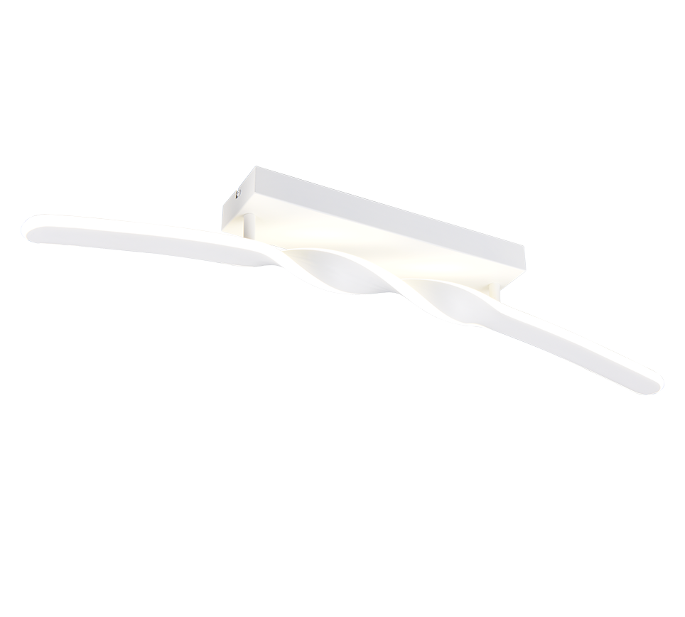 GINKO | Ceiling lamp | White mat | Metal