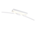 GINKO | Ceiling lamp | White mat | Metal
