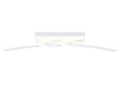 GINKO | Ceiling lamp | White mat | Metal