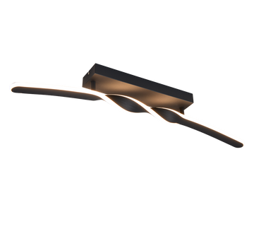 GINKO | Ceiling lamp | Black mat | Metal