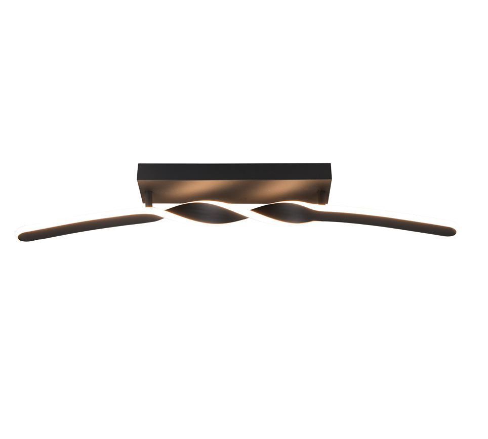 GINKO | Ceiling lamp | Black mat | Metal