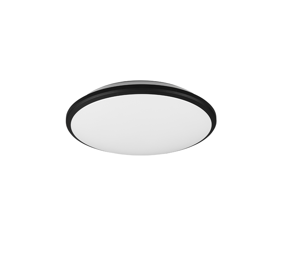 LIMBUS | Ceiling lamp | Black mat | Plastic