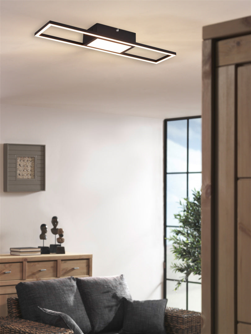 RIGIDO | Ceiling lamp | Black mat | Metal