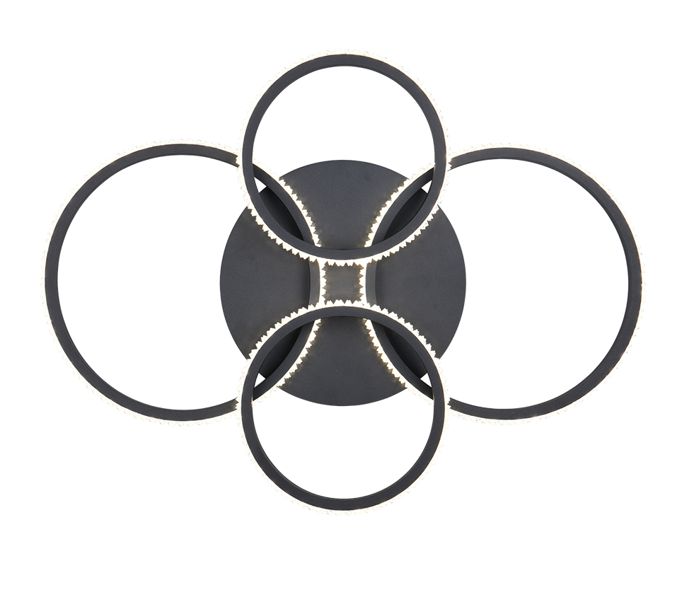 CIRES | Ceiling lamp | Black mat | Metal