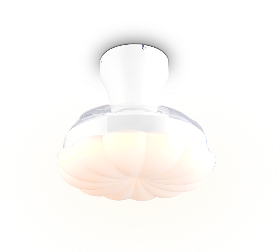 BORAS | Ventilator | White mat | Plastic