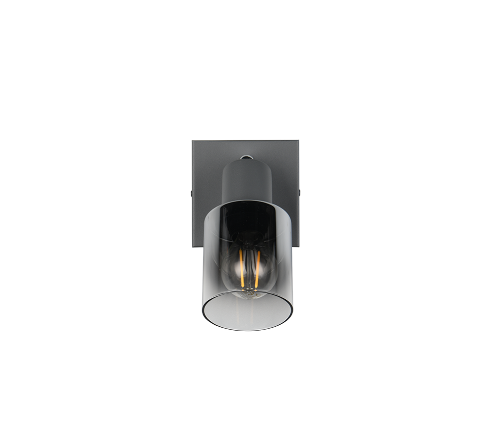 CADIZ | Spot | Anthracite | Metal
