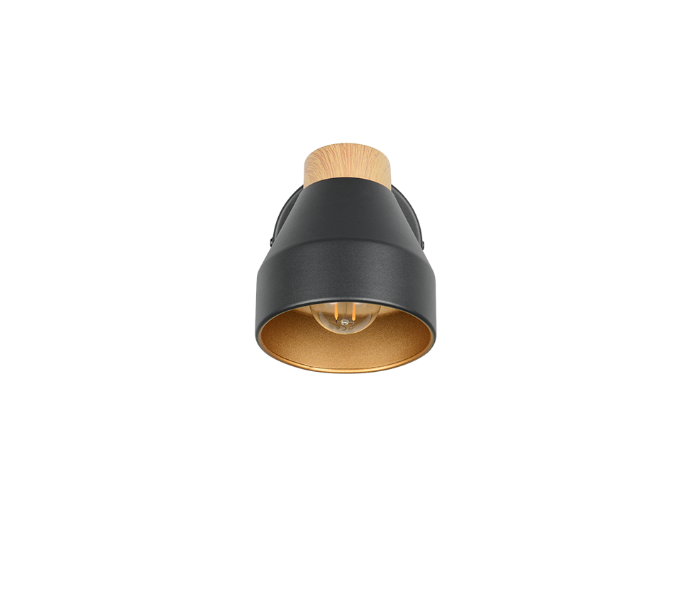 VALENTIN | Spot | Black mat | Metal