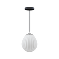 2539C4229