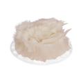 2067BP01A