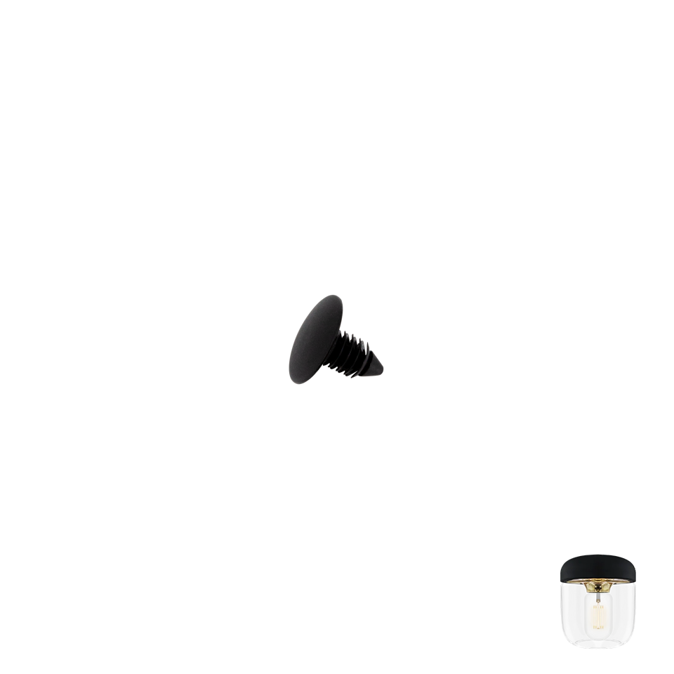 Screw | spare part for Acorn