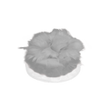 2085BP01A