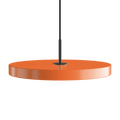 2423C4173