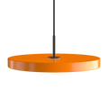 2423C4173