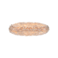 2460