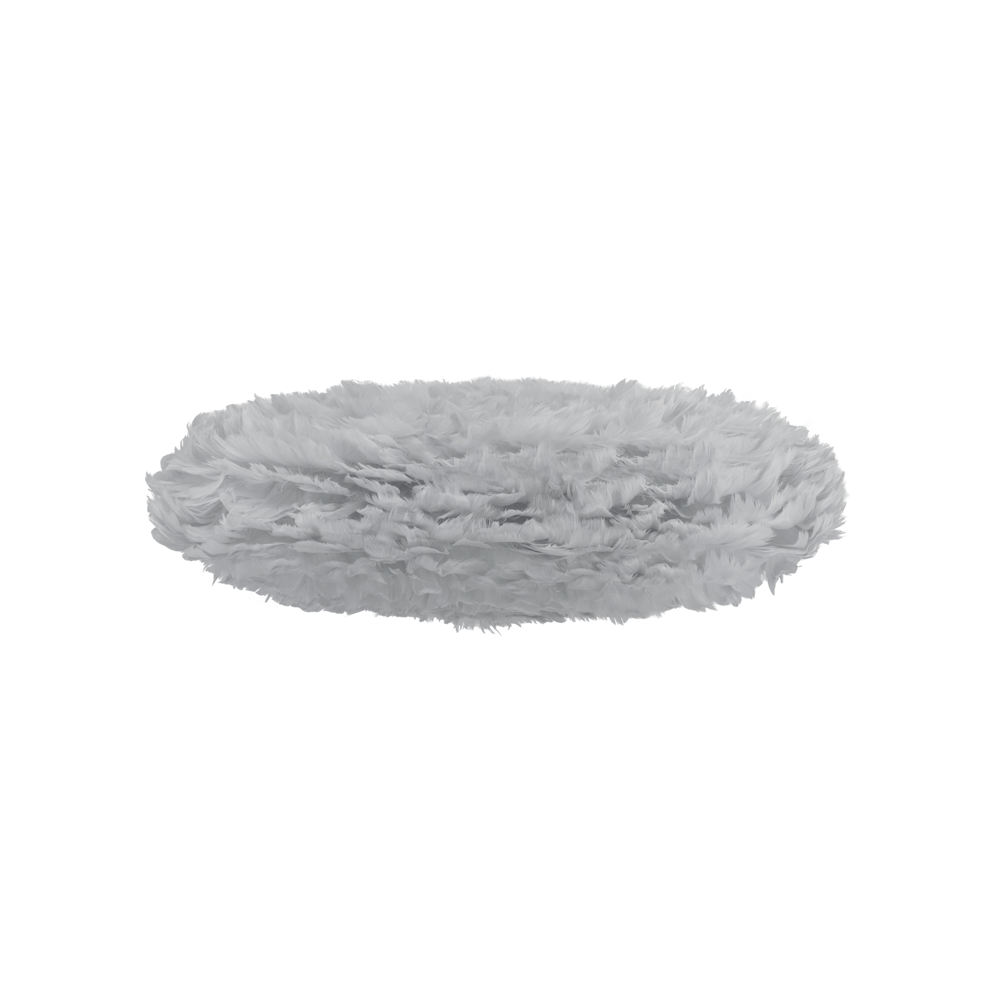 2461.0