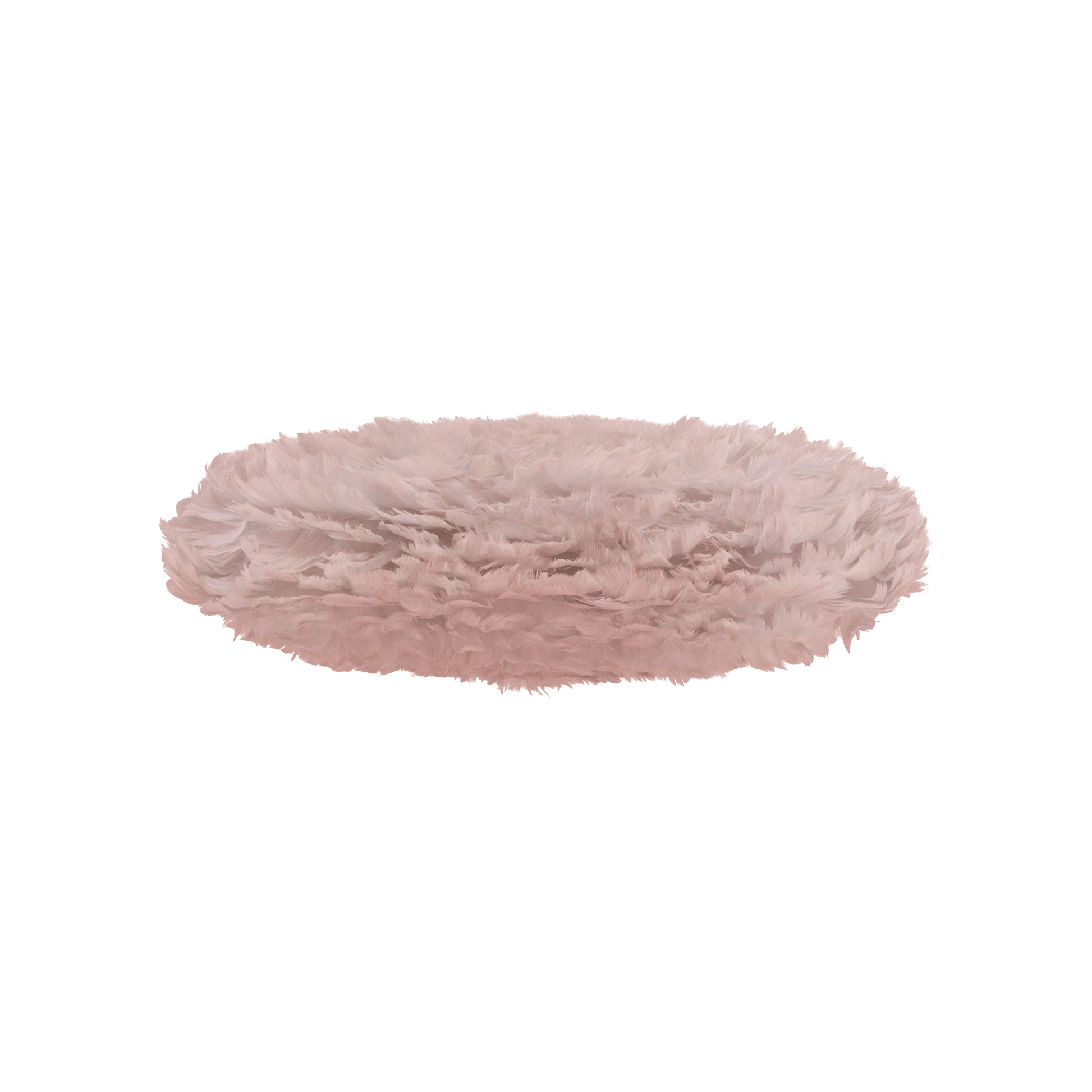 2462.0