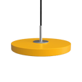 2517C4262