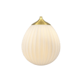 2539C42300