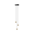 2704.0