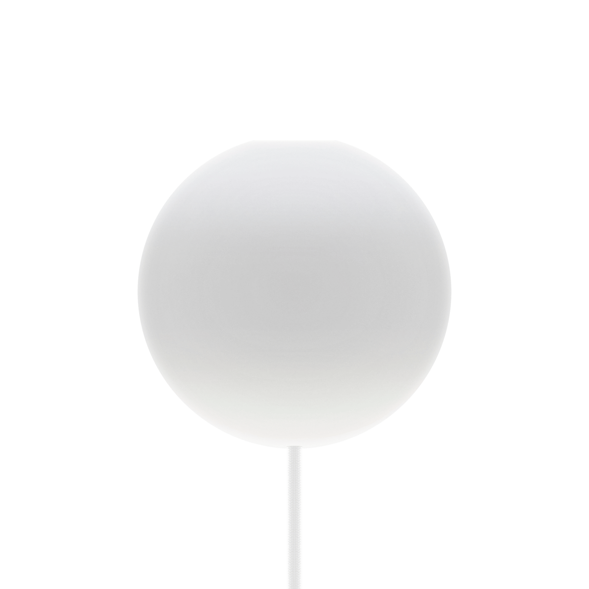 4031.0