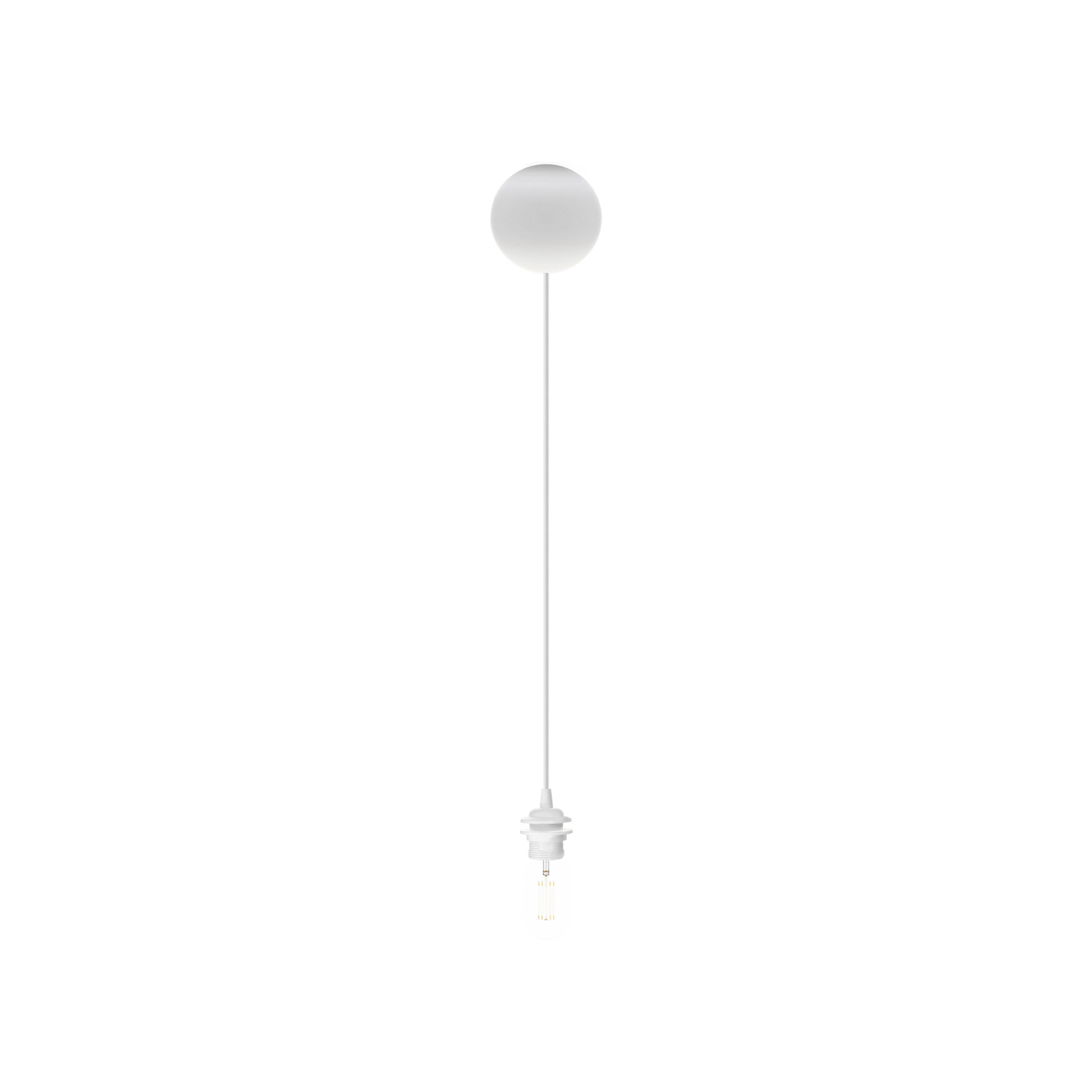 4031.0
