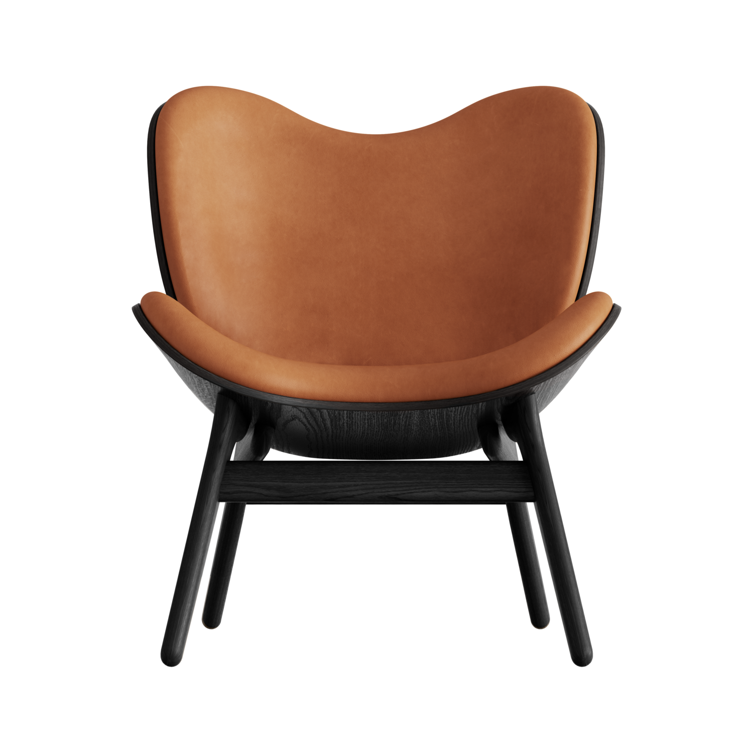 5102C5501-DS21002-NS