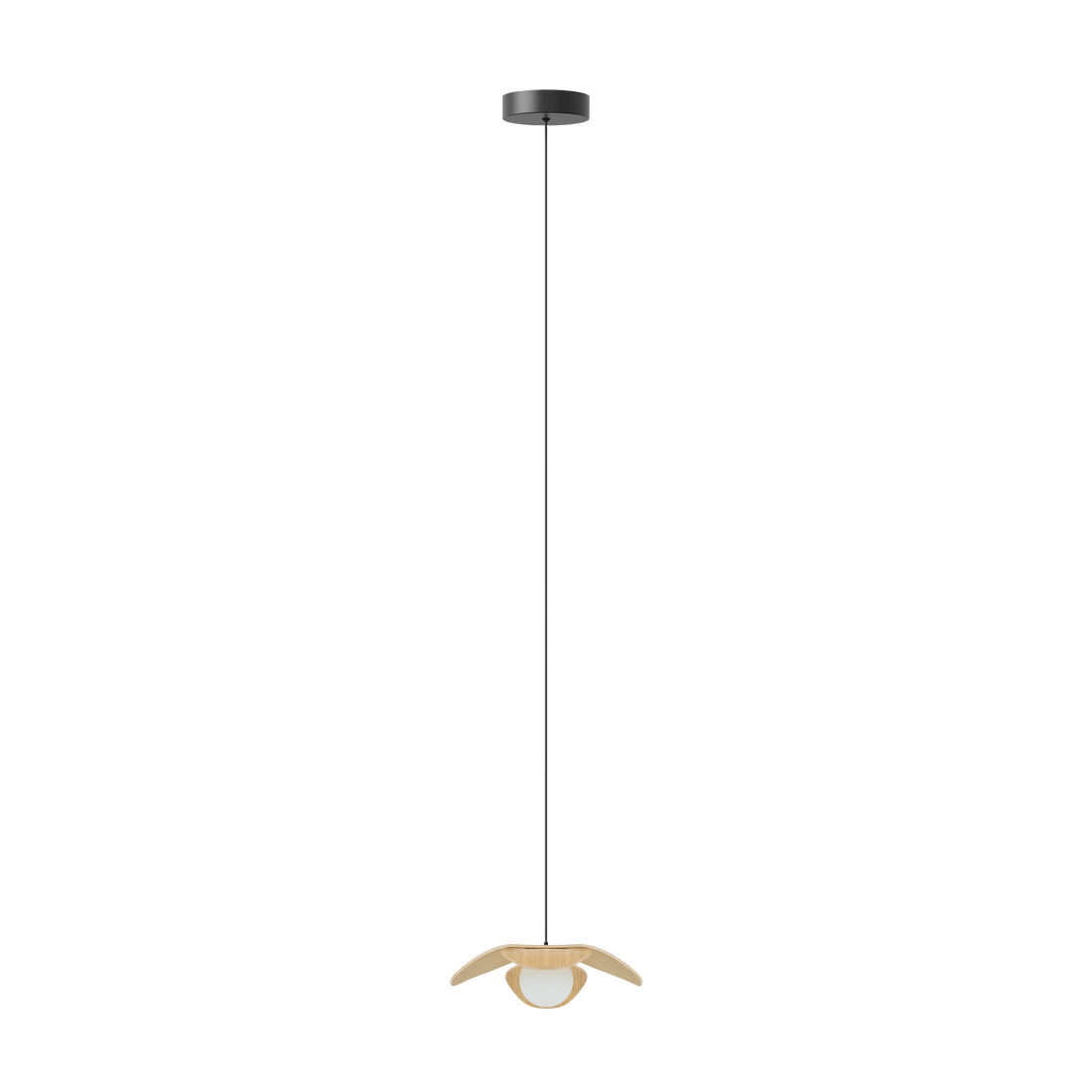 Forget Me Not single | lamp set