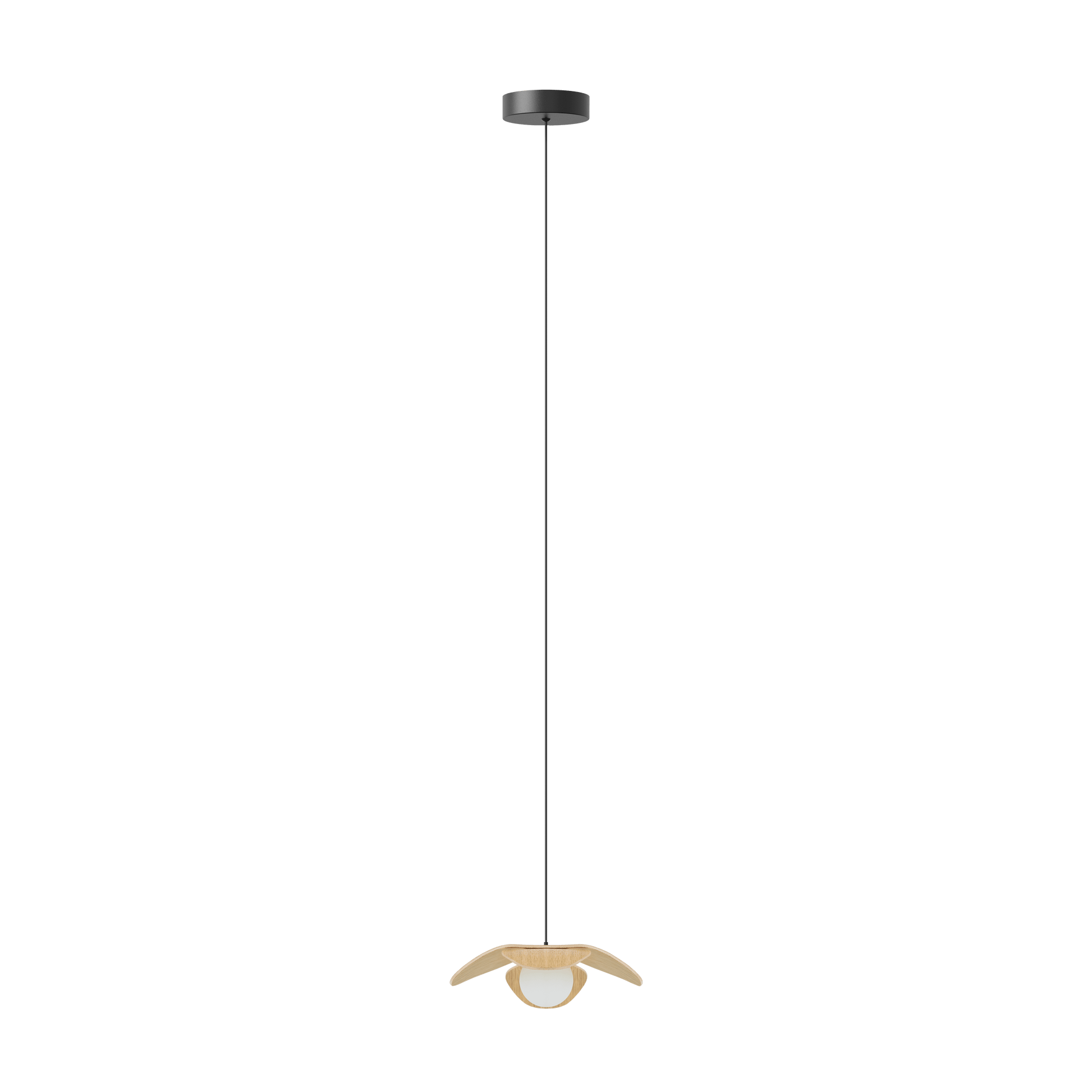 Forget Me Not single | lamp set