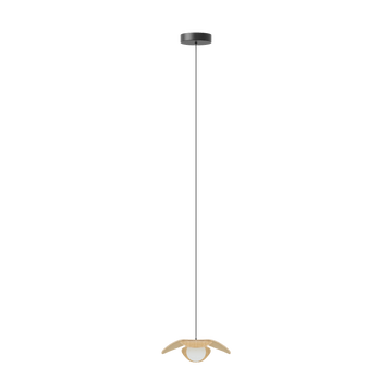Forget Me Not single | lamp set
