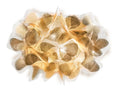 SLAMP Clizia Mama Non Mama Applique Mama Non Mama Gold