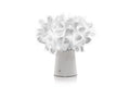 SLAMP Clizia Battery Mama Non Mama White