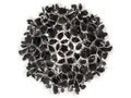 SLAMP Clizia Ceiling Wall L Mama Non Mama Black