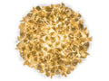 SLAMP Clizia Ceiling Wall L Mama Non Mama Gold