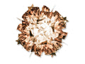 SLAMP Veli Ceiling/Wall copper