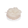 2066BP01A