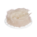 2067BP01A