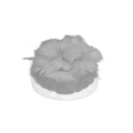 2085BP01A